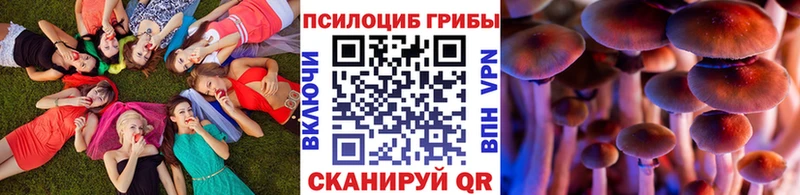 Псилоцибиновые грибы мицелий  Купить где  Курск
